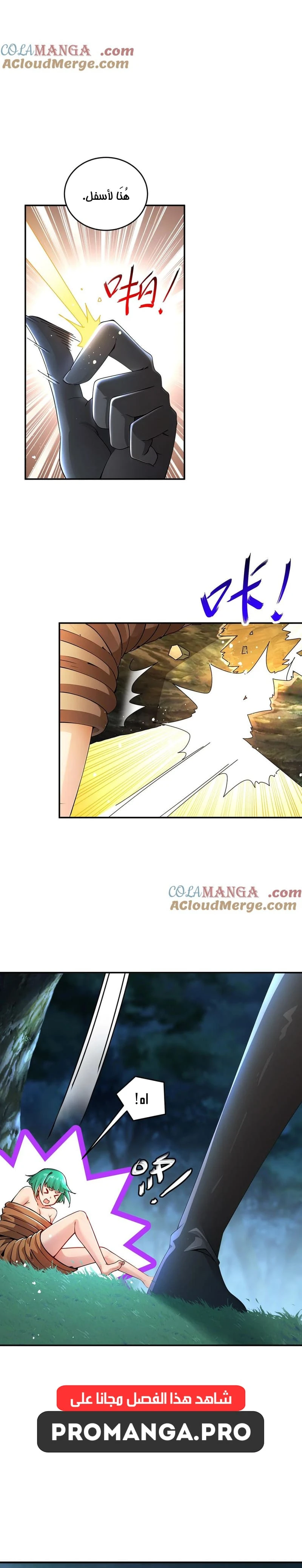 Chapter Image 4