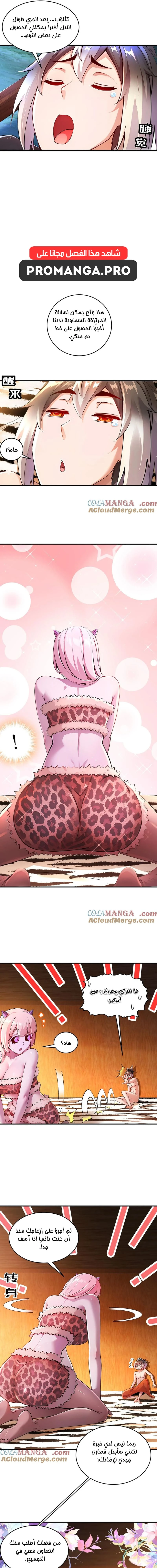 Chapter Image 7