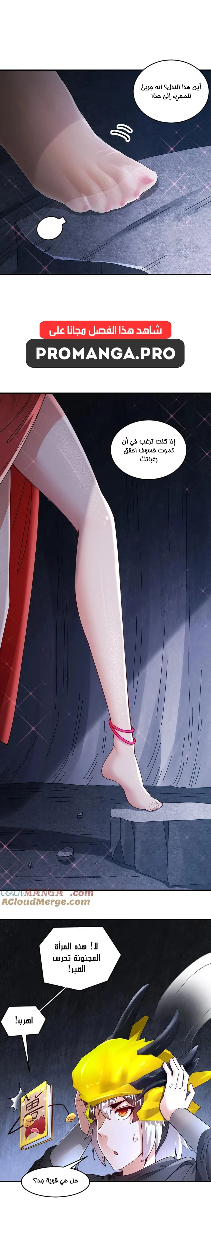 Chapter Image 6
