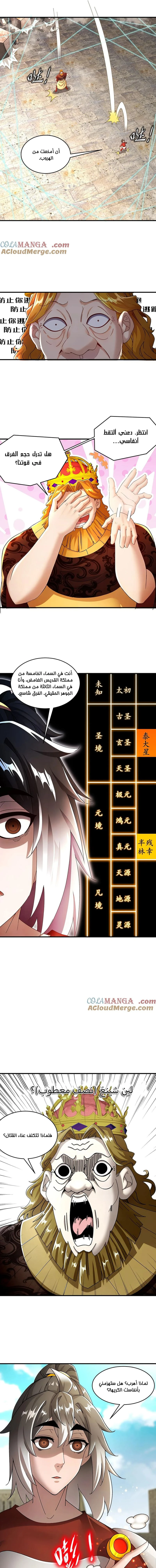 Chapter Image 5