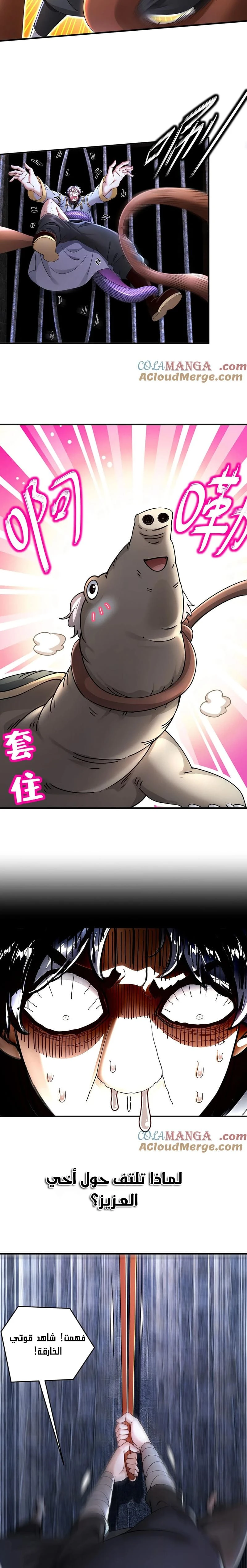 Chapter Image 4