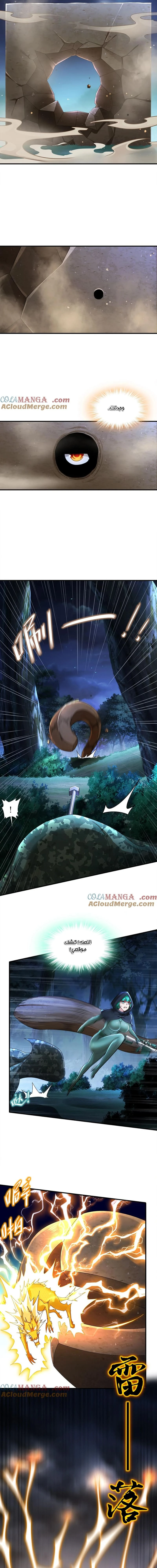 Chapter Image 5