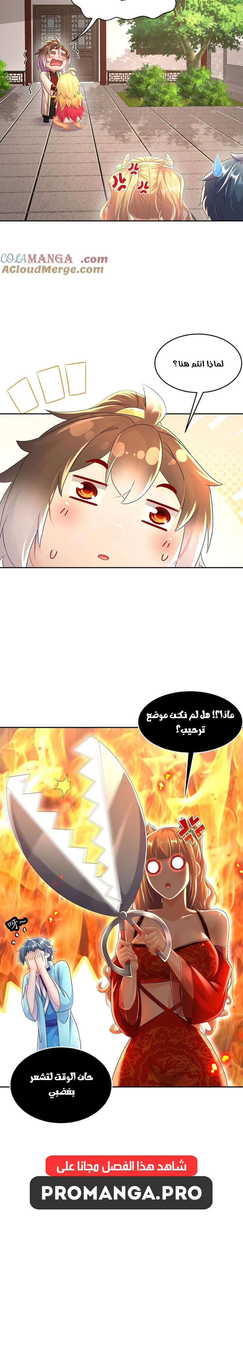 Chapter Image 4