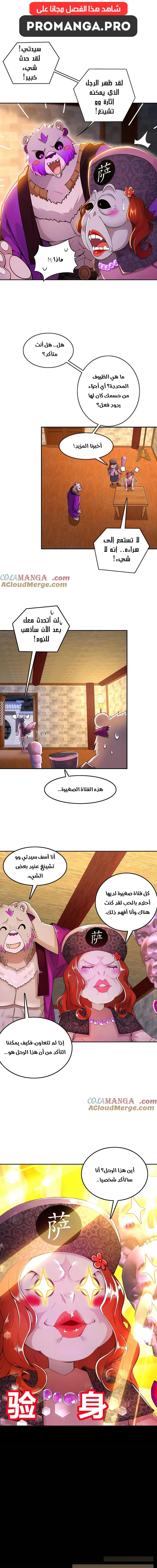 Chapter Image 3