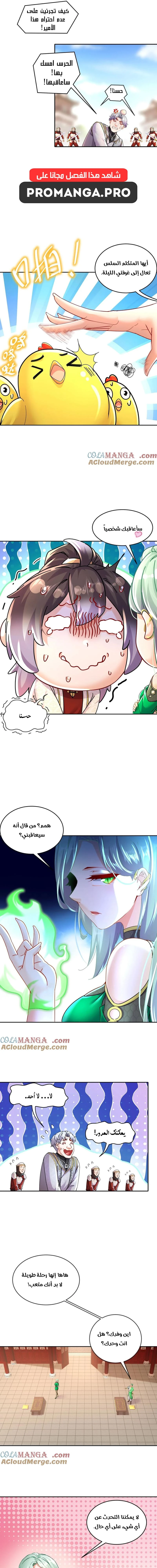 Chapter Image 5