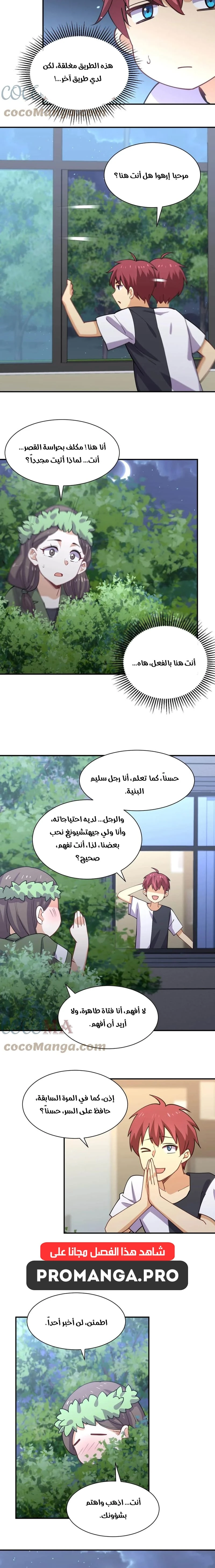 Chapter Image 4
