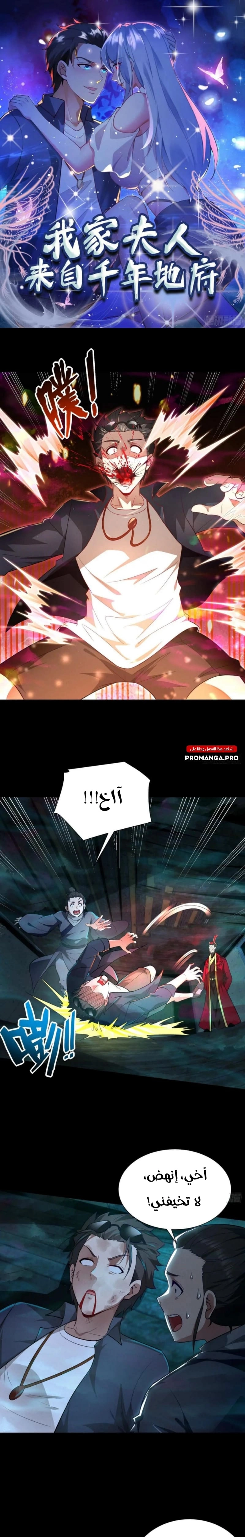 Chapter Image 1