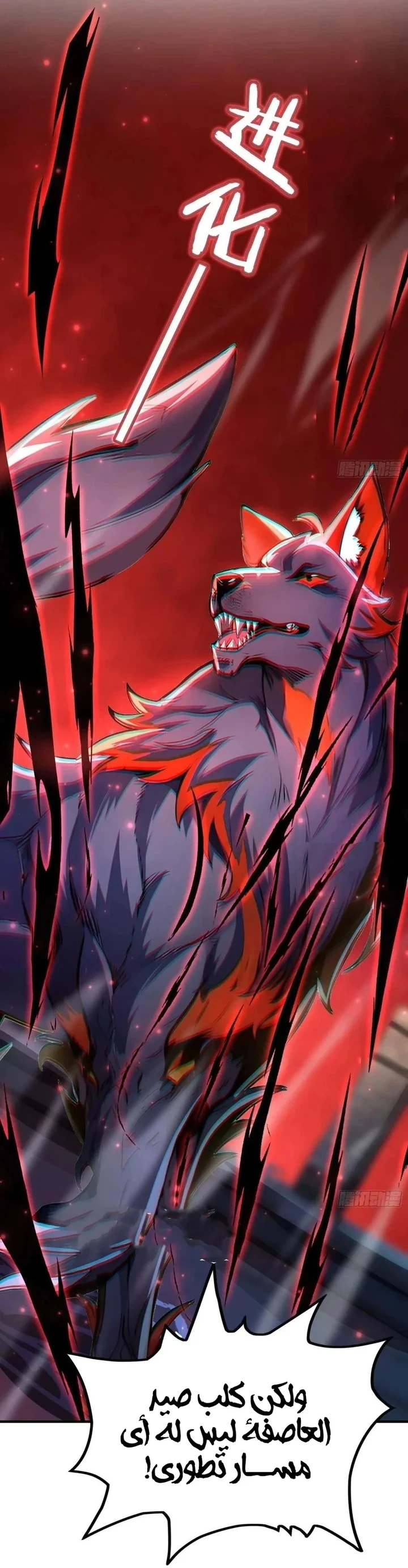 Chapter Image 18