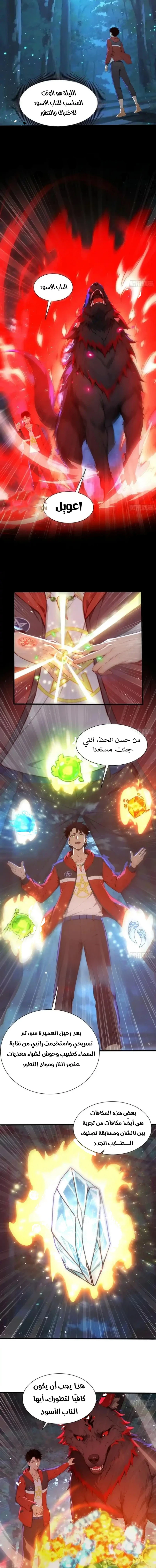 Chapter Image 5