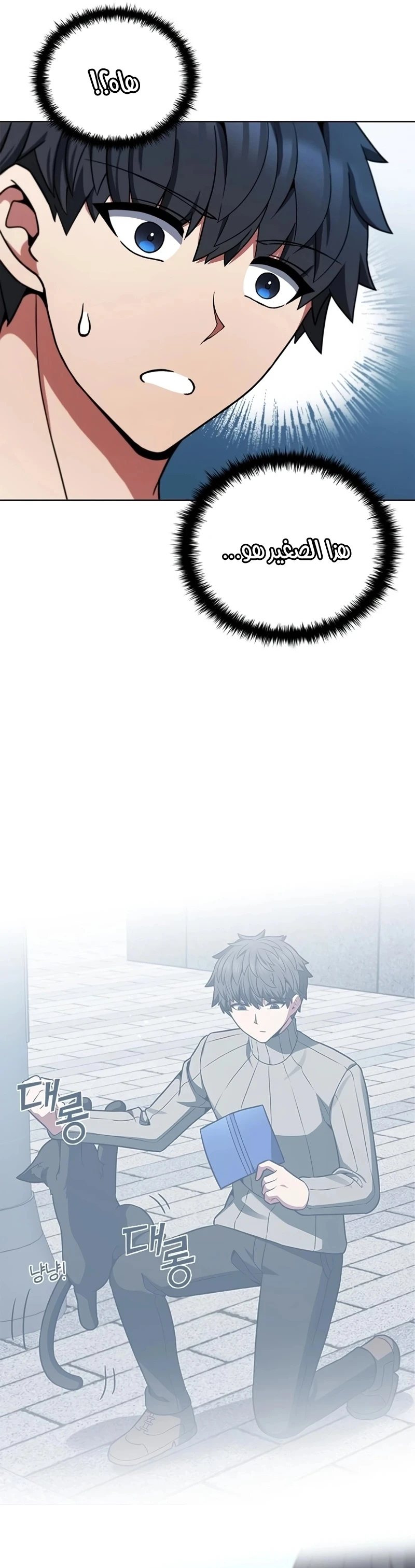 Chapter Image 19