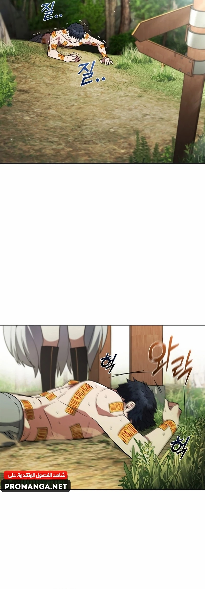 Chapter Image 28