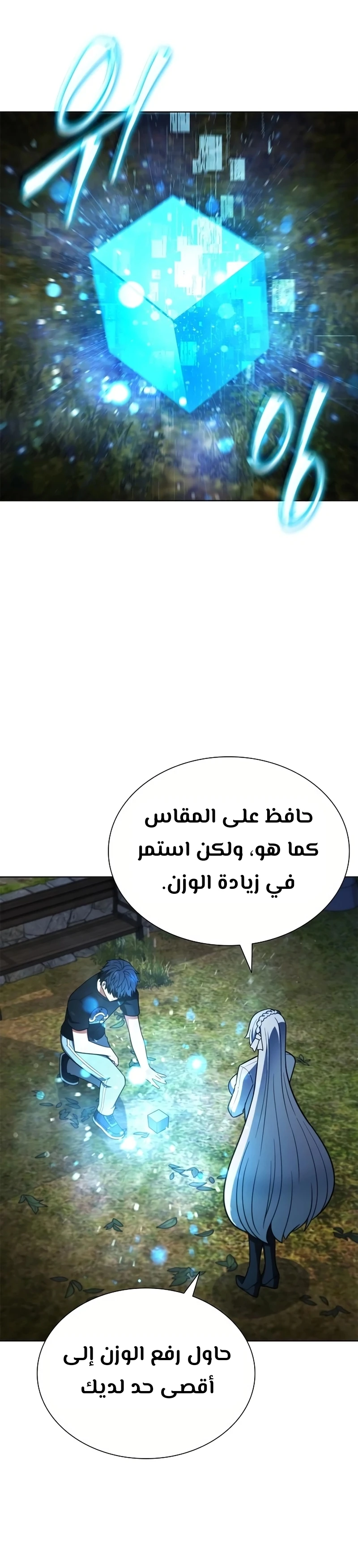 Chapter Image 5