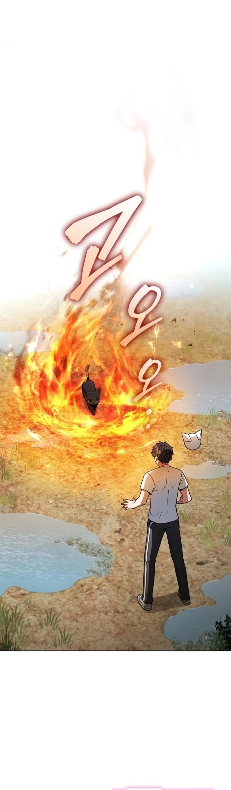 Chapter Image 1