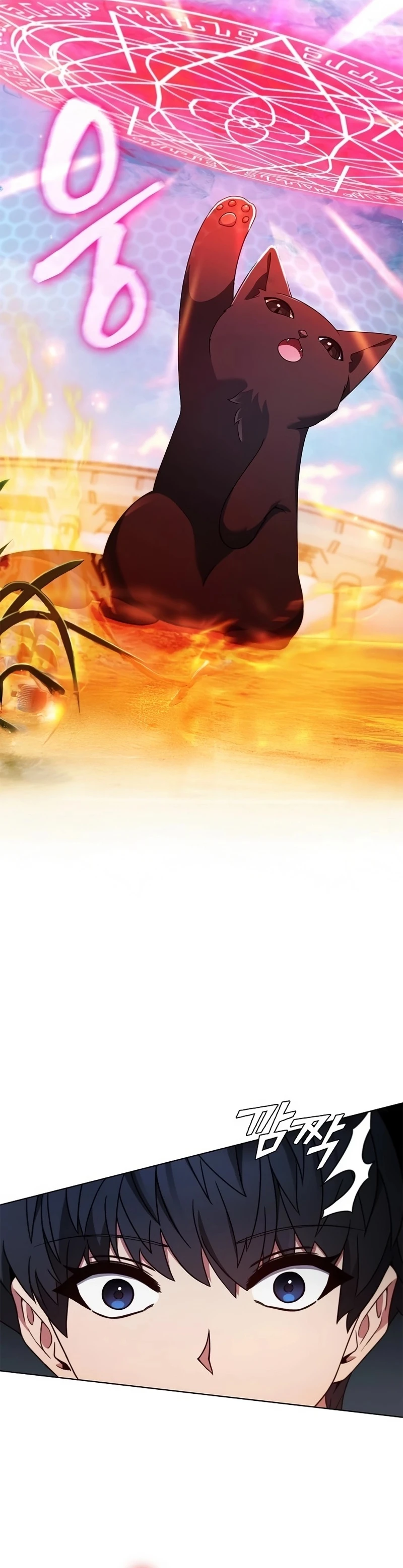 Chapter Image 5
