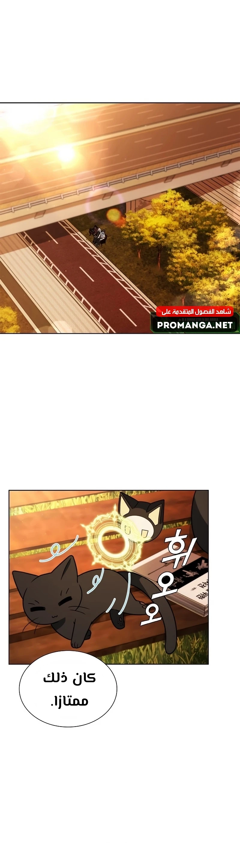 Chapter Image 39