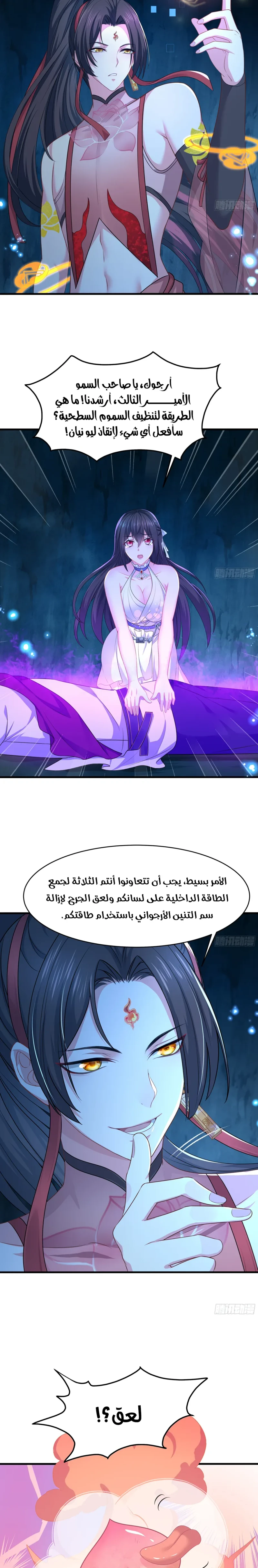Chapter Image 2