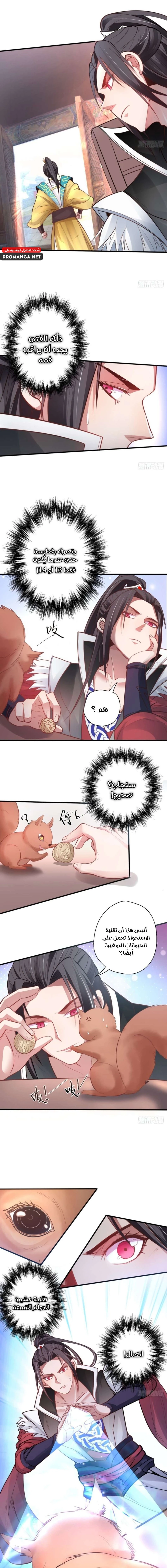 Chapter Image 3