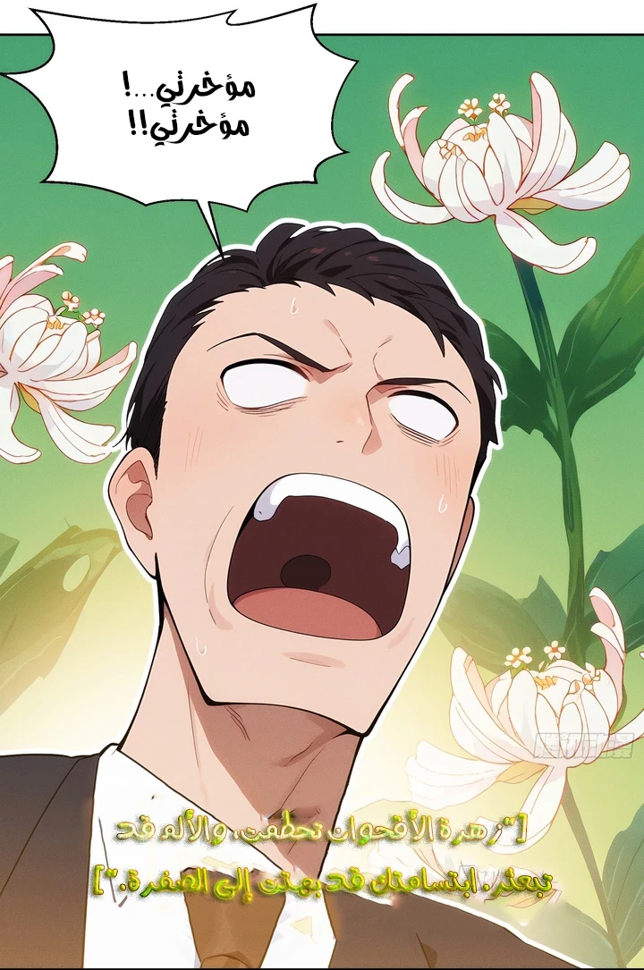Chapter Image 37