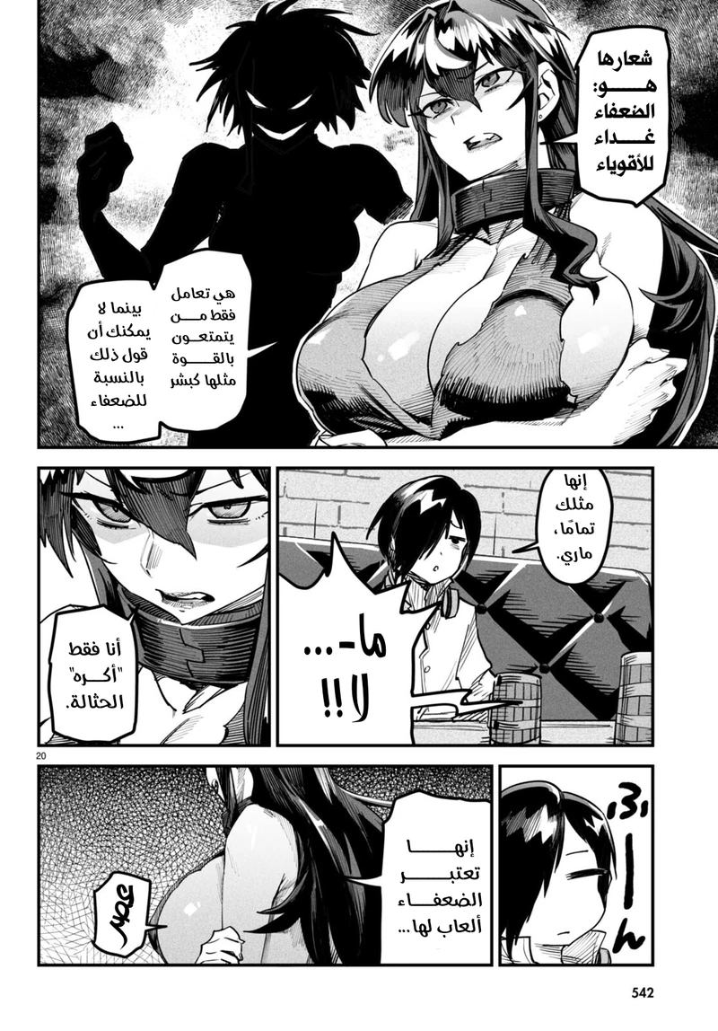 Chapter Image 20