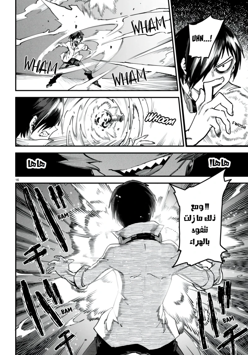 Chapter Image 16