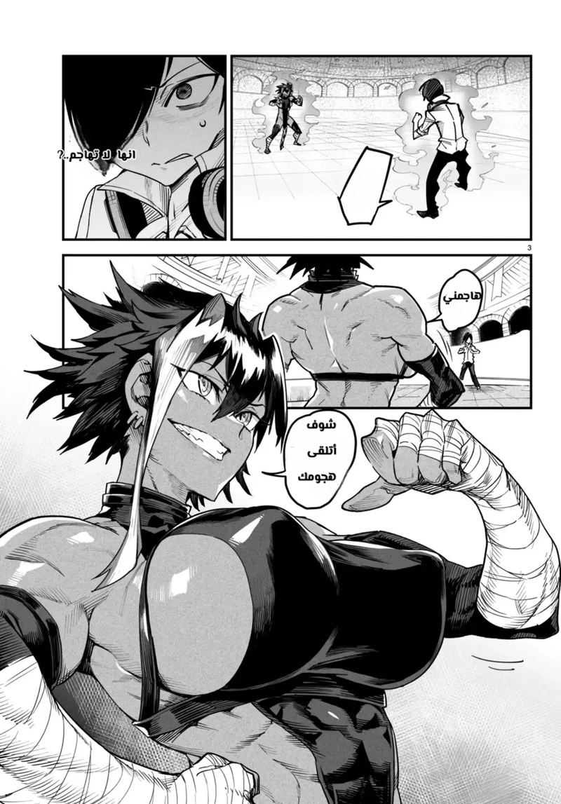 Chapter Image 4