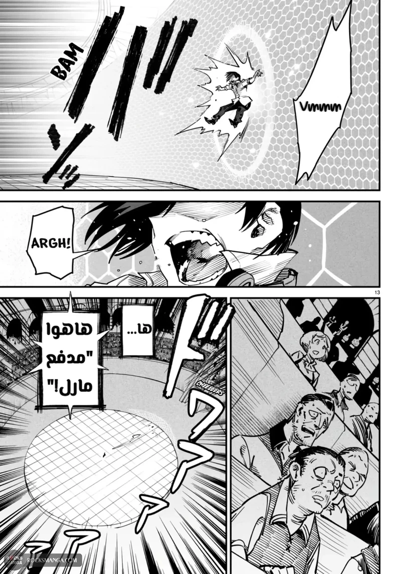 Chapter Image 13