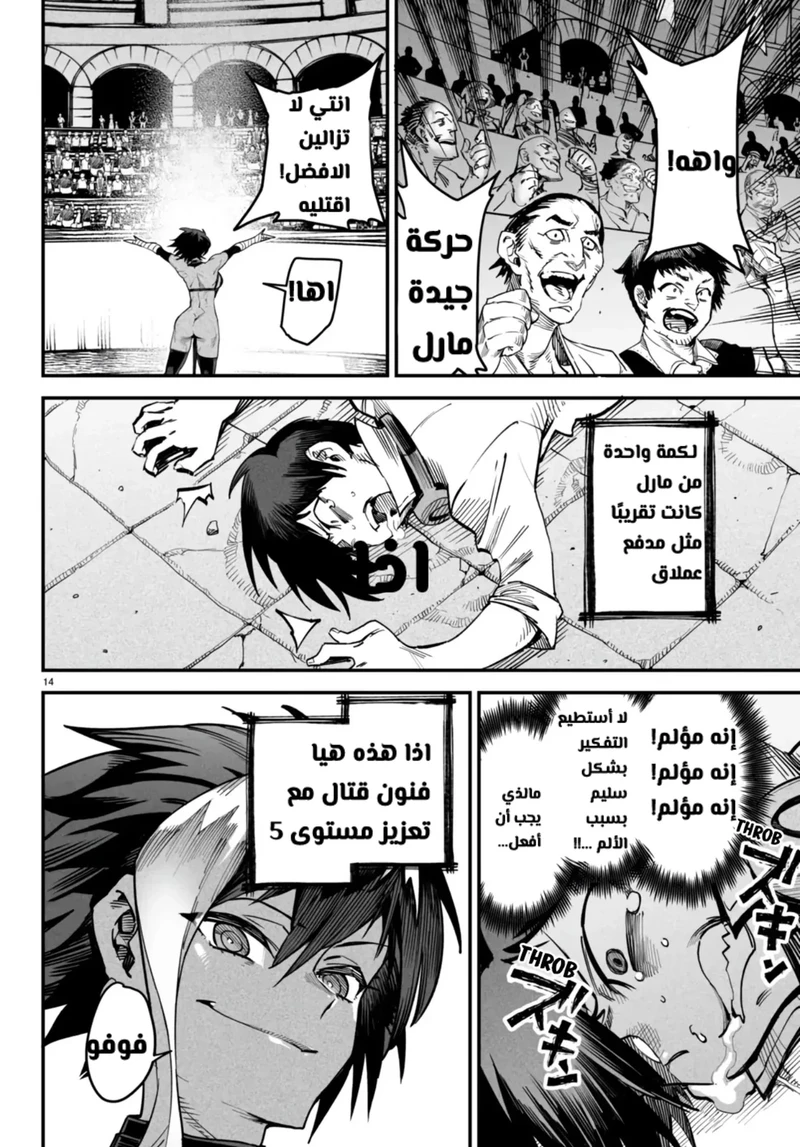 Chapter Image 14