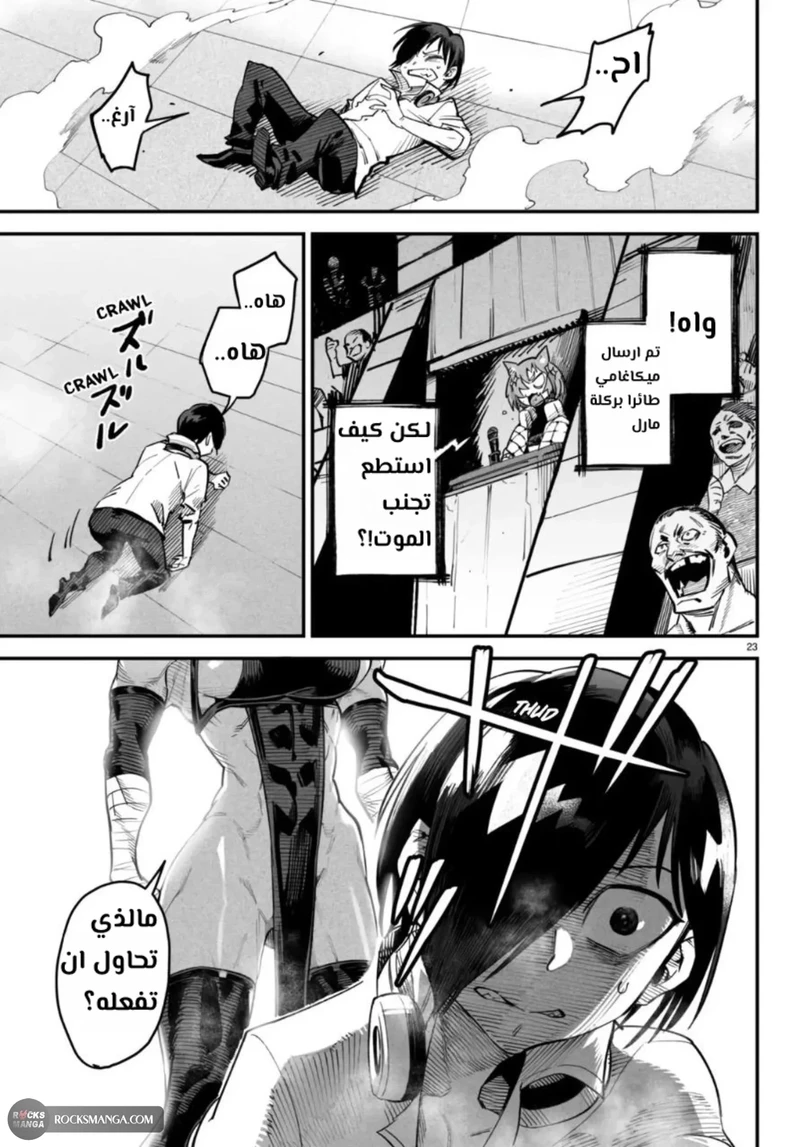 Chapter Image 23