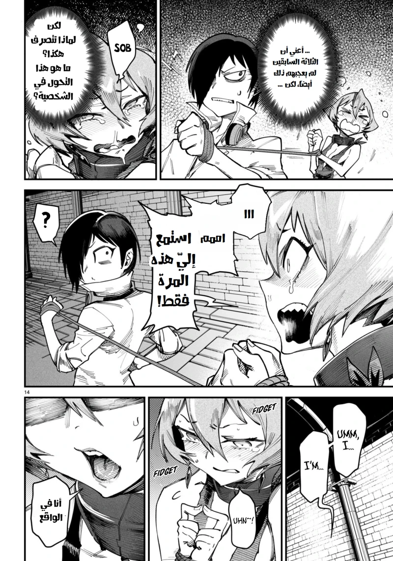 Chapter Image 14