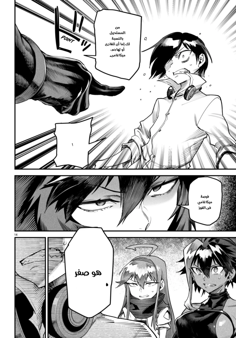 Chapter Image 13