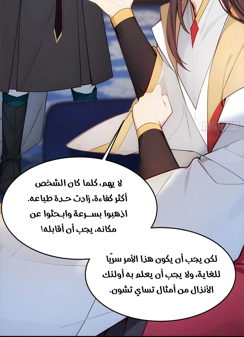 Chapter Image 7