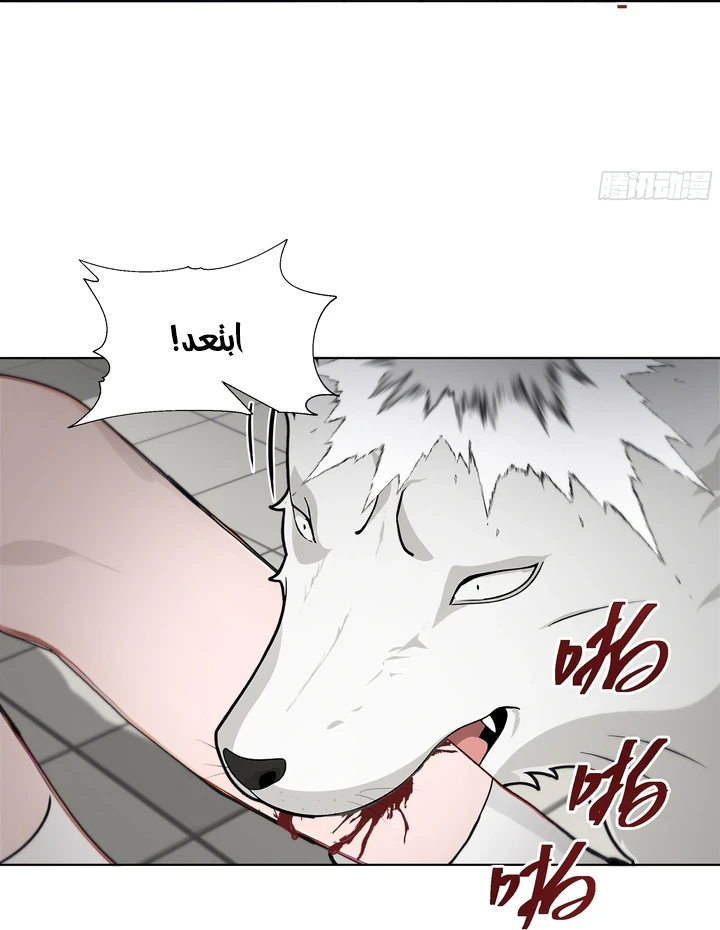 Chapter Image 39