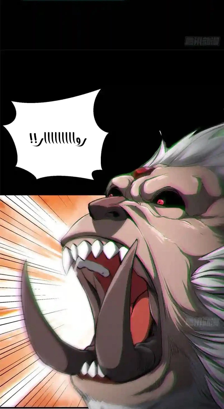 Chapter Image 74