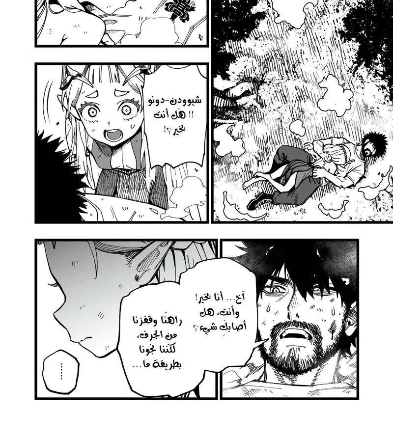 Chapter Image 9