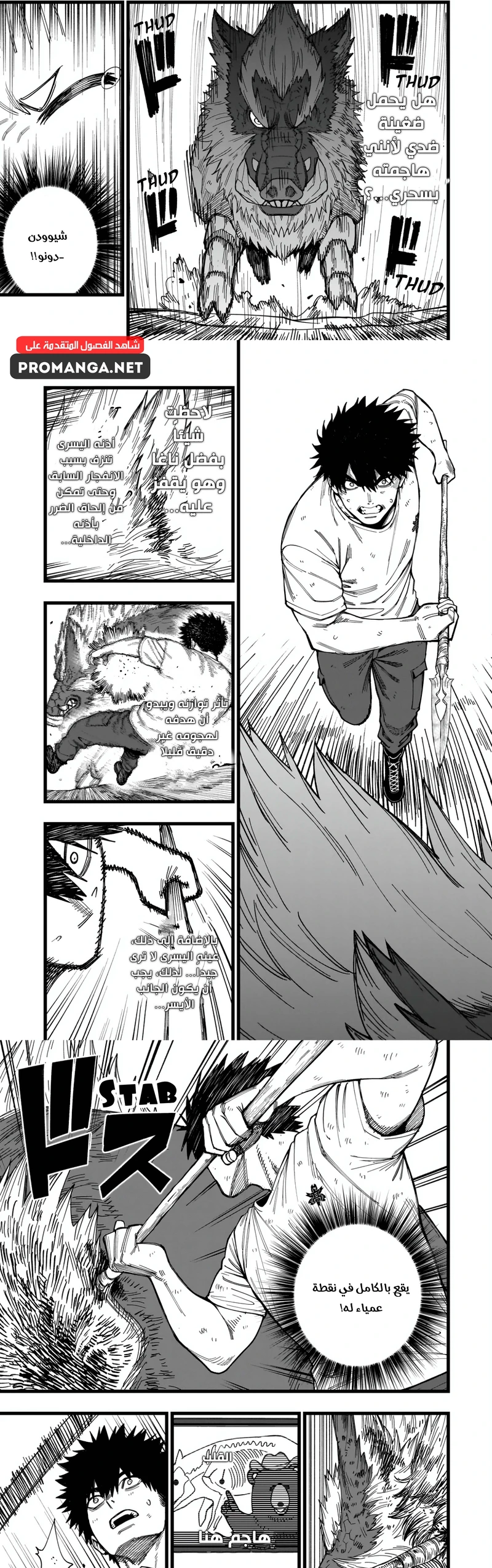 Chapter Image 4