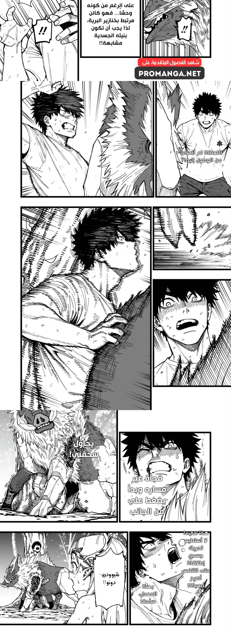 Chapter Image 5