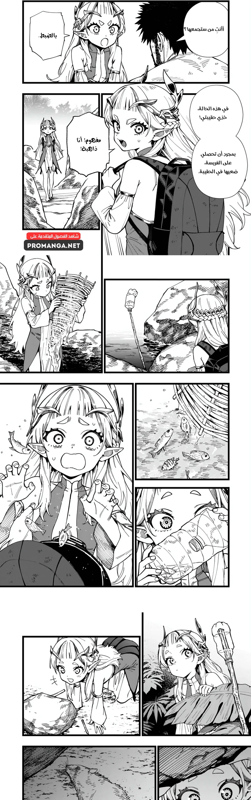 Chapter Image 4