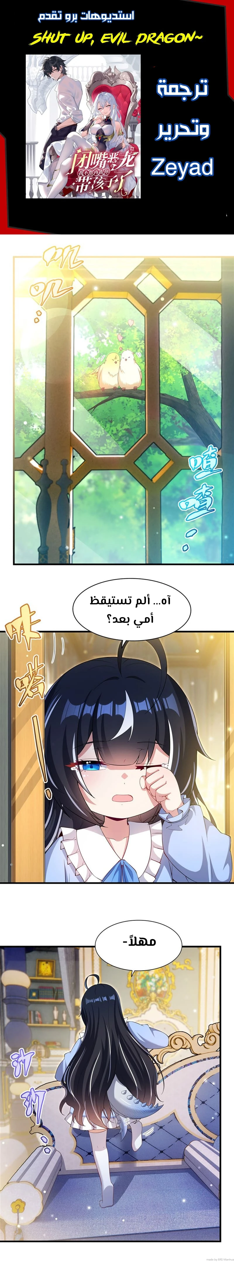 Chapter Image 1