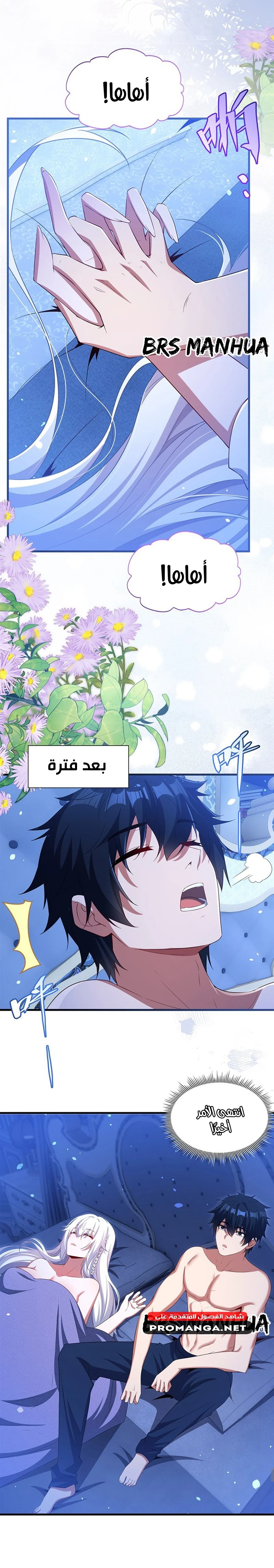 Chapter Image 4