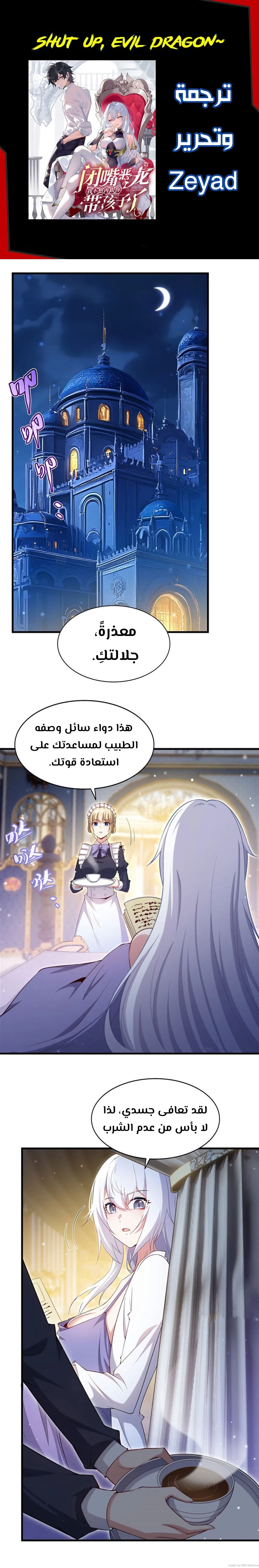 Chapter Image 1