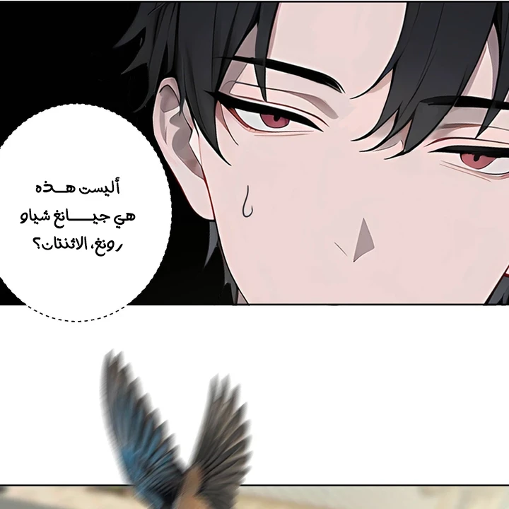 Chapter Image 37
