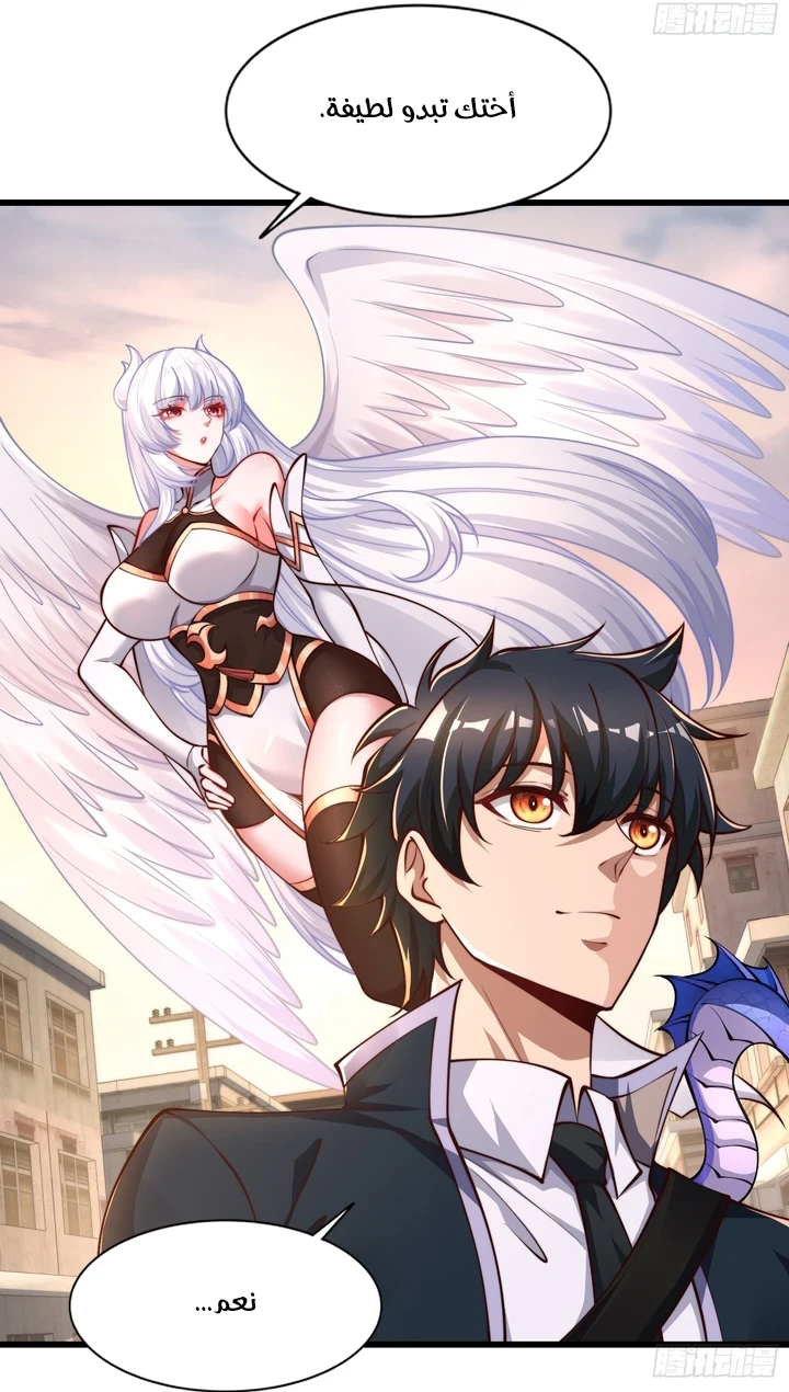 Chapter Image 15