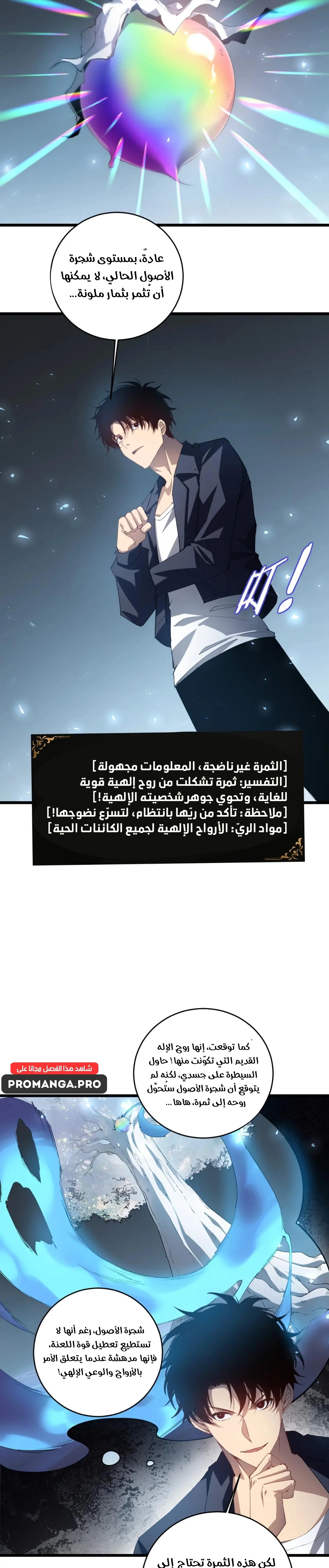 Chapter Image 2