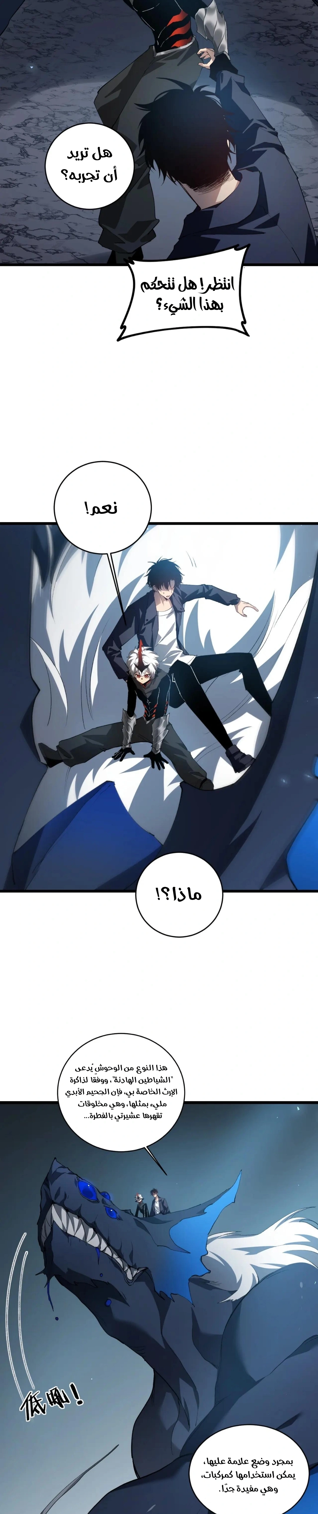 Chapter Image 5