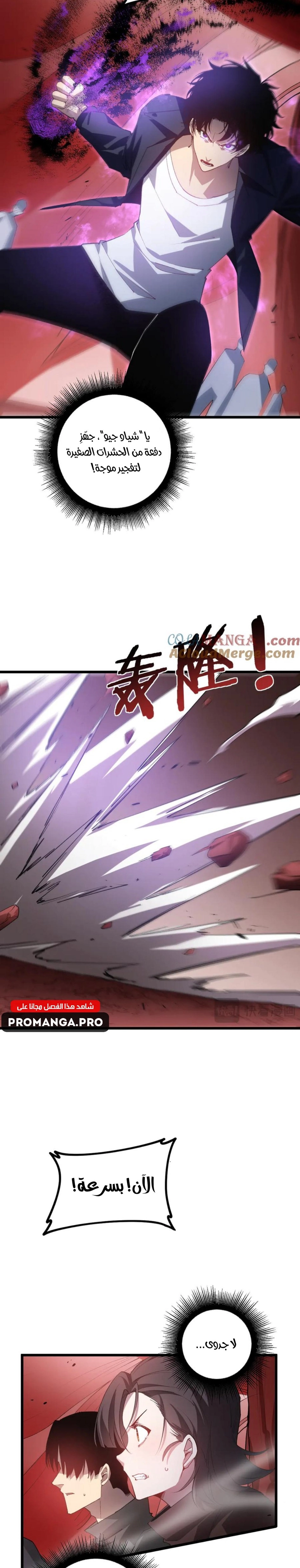 Chapter Image 3