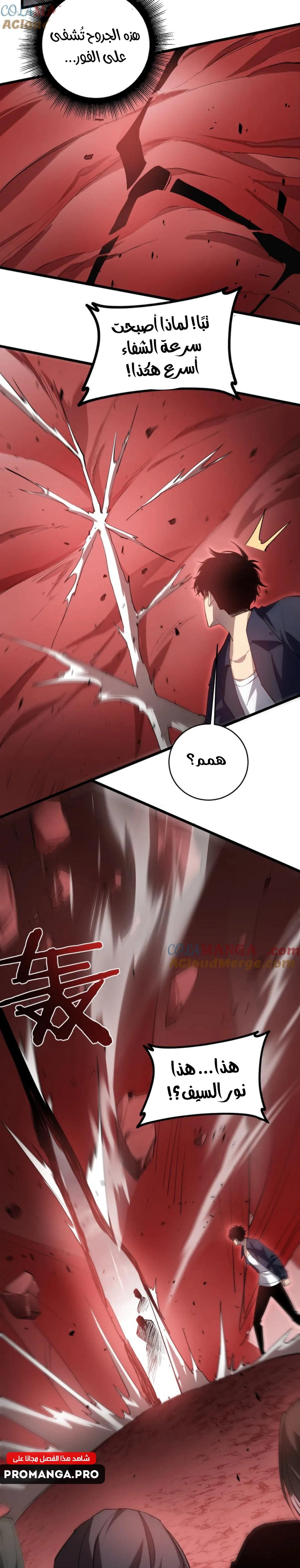 Chapter Image 4