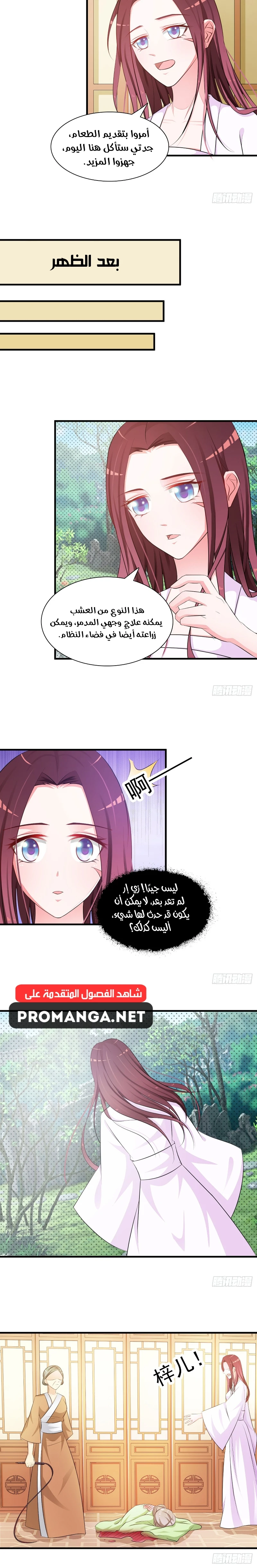 Chapter Image 5