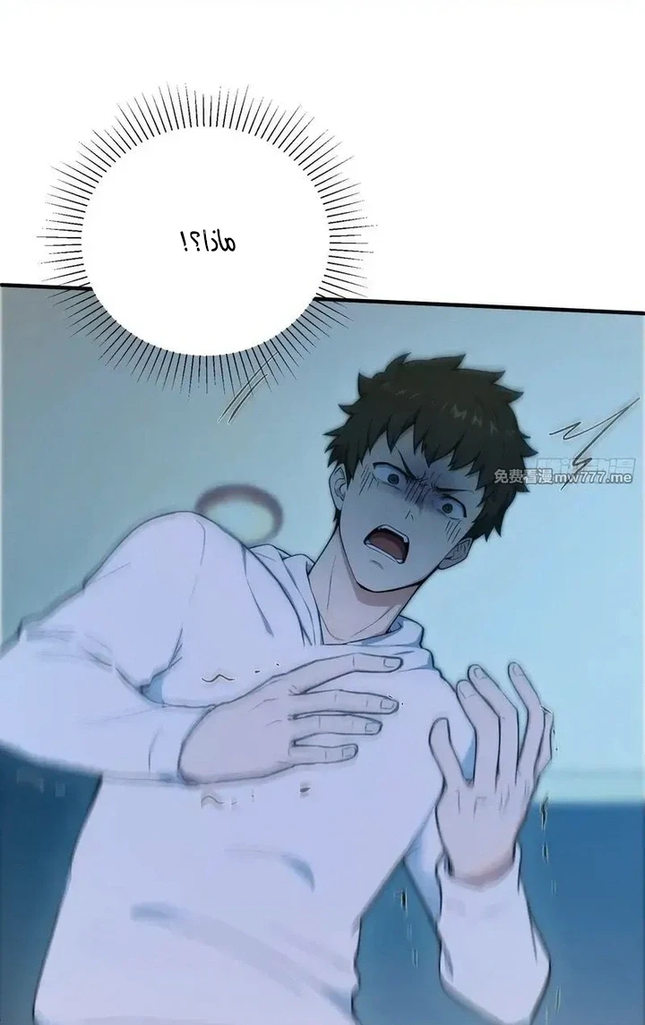 Chapter Image 4