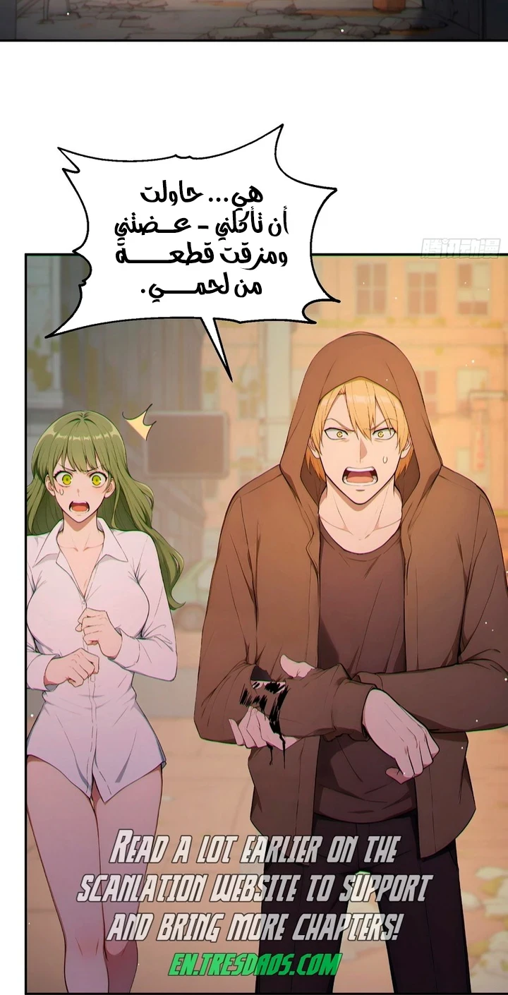 Chapter Image 5