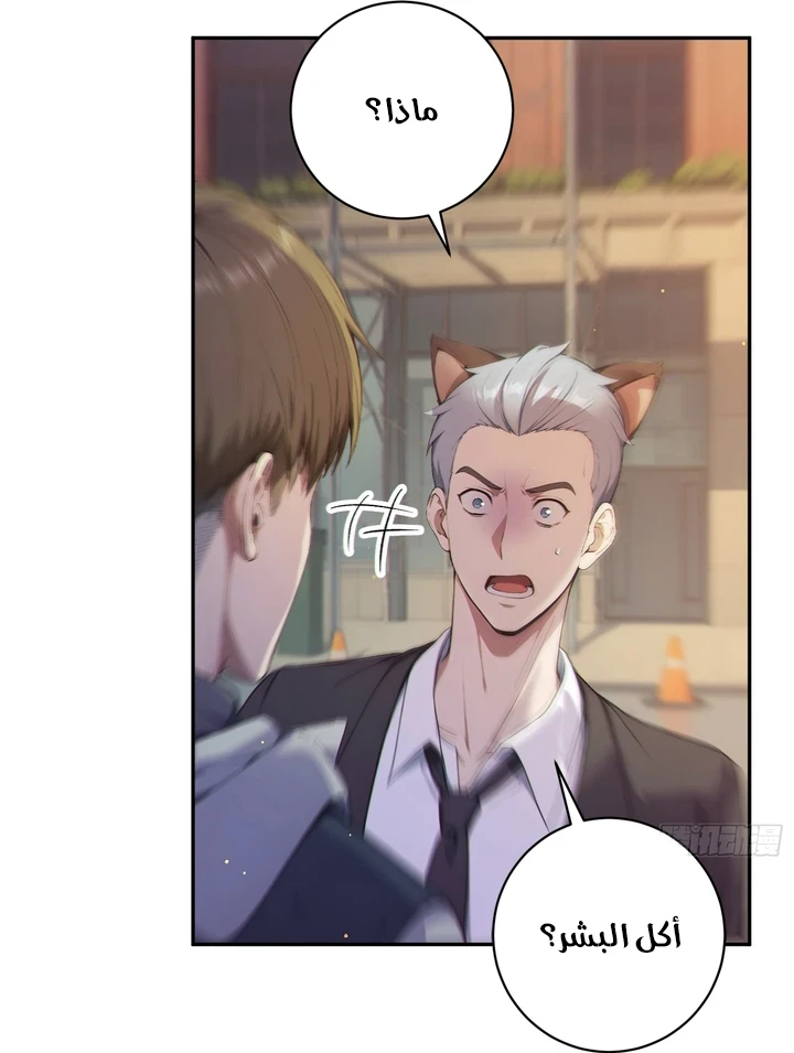 Chapter Image 4